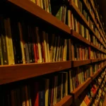 On the Slow Practice of Building a Library, and the Spaces That Hold Books